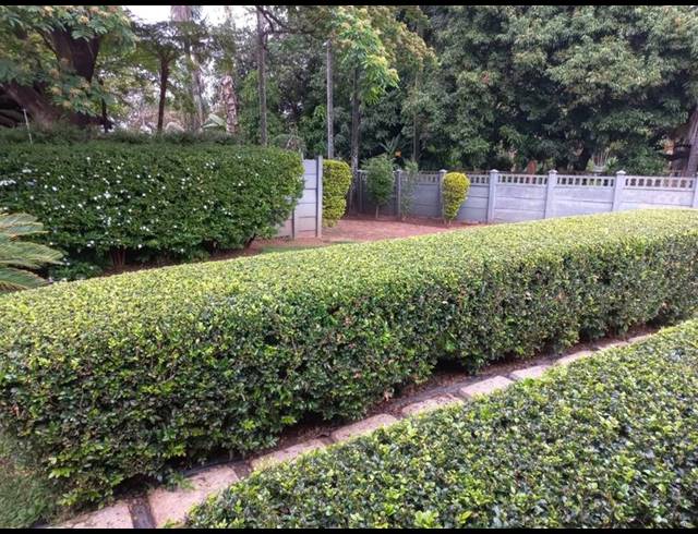 3 BEDROOM HOUSE FOR SALE IN FAUNA PARK